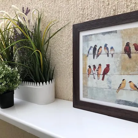 Amn Center 贝尔格莱德