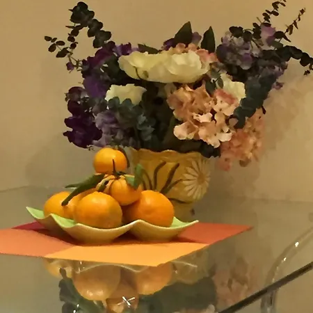 Amn Center 公寓 贝尔格莱德