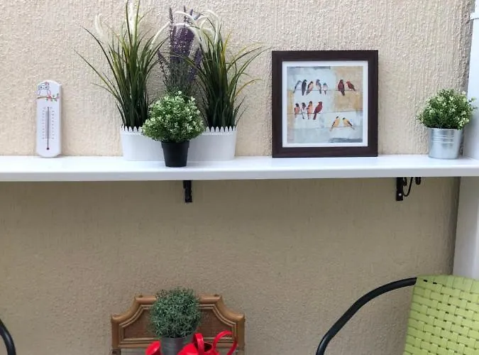 Lejlighed Amn Center