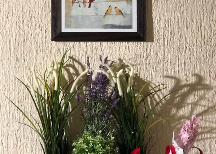 Amn Center Lejlighed